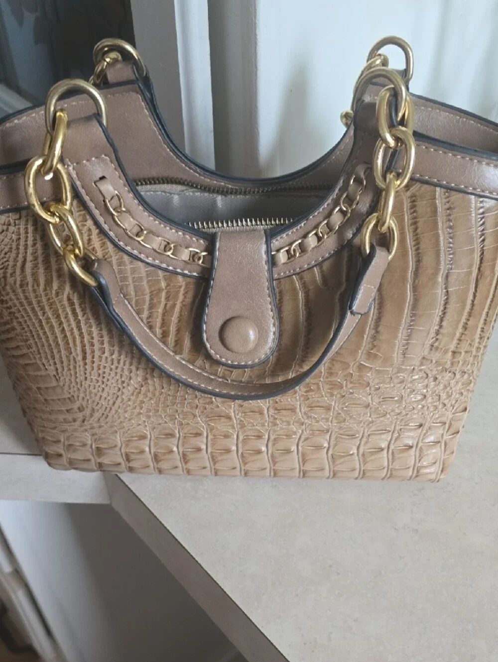 Neutral Beige Men’s Organizer Tote Bag with Green Lining